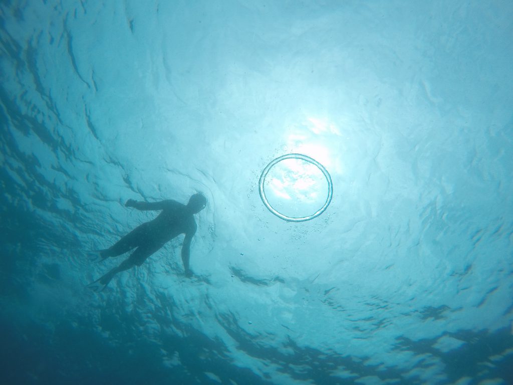 Just going for a little swim.
