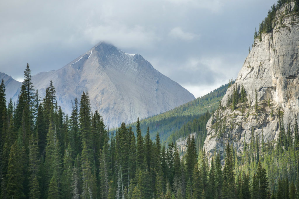 Mountains and Forests in Banff