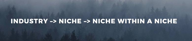 niche within a niche